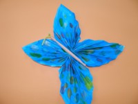 /album/feuilles-et-papillons/picture-229-jpg/